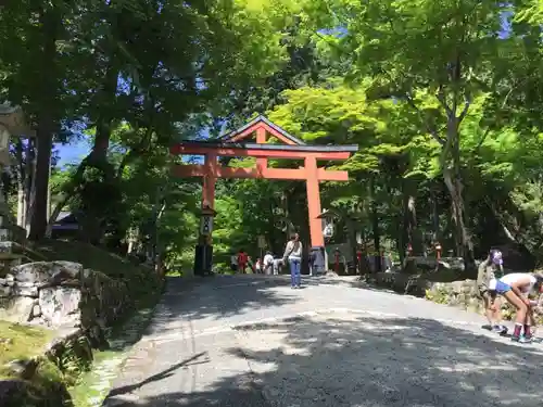 日吉大社の鳥居