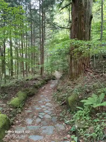 瀧尾高徳水神社 の周辺