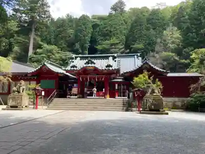 箱根神社の本殿・本堂