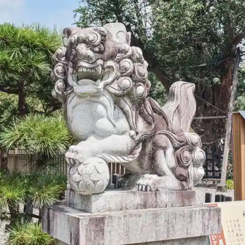 天宮神社の狛犬