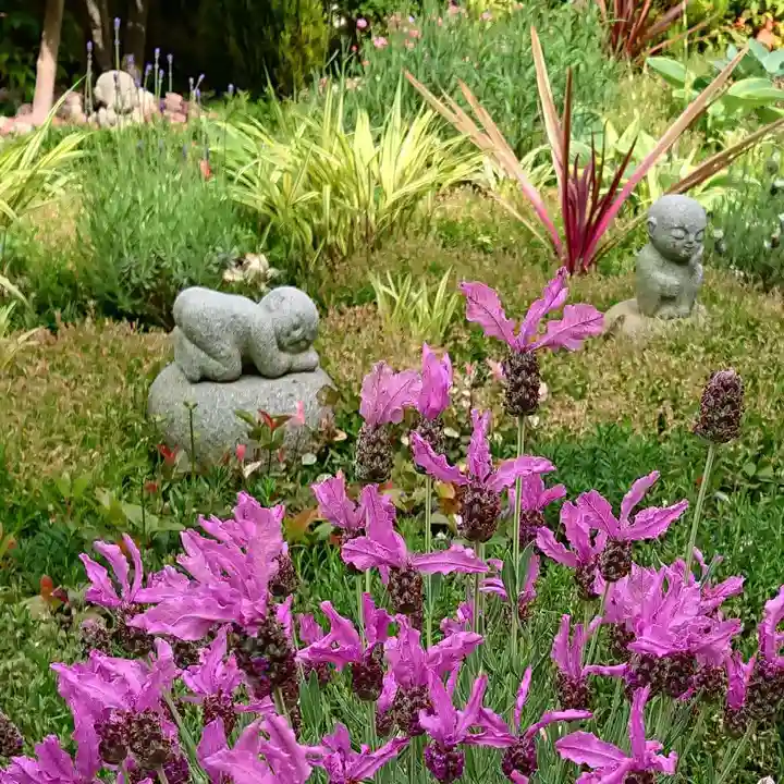 寿量山 速成寺の自然