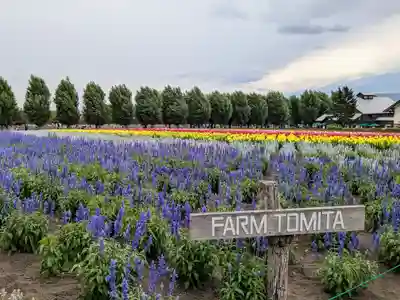 富良野神社の周辺