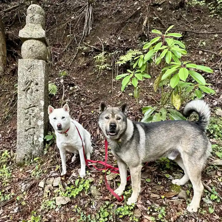 丹生都比売神社(和歌山県)