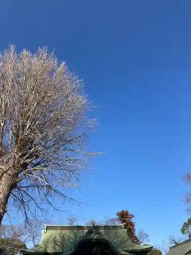 菊田神社のその他建物