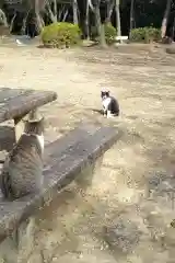 玉野御嶽神社の動物