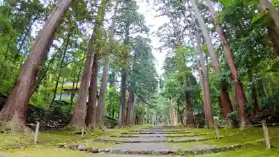 平泉寺白山神社(福井県)
