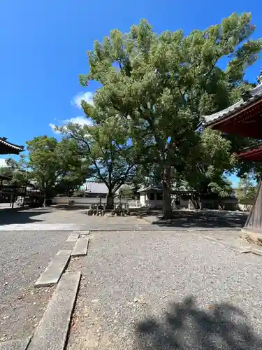 斑鳩寺(兵庫県)