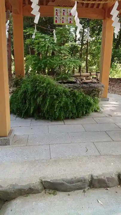 渭伊神社の手水舎