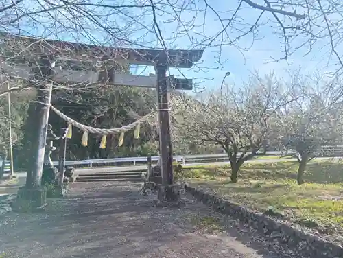 県神社(岐阜県)