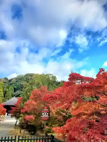白水阿弥陀堂の自然