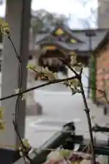 伊和志津神社の手水