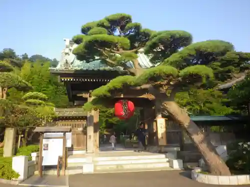 長谷寺の山門・神門