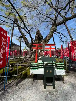 秩父今宮神社(埼玉県)