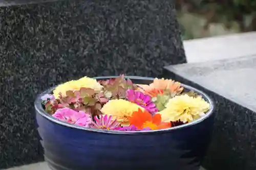 豊景神社の手水