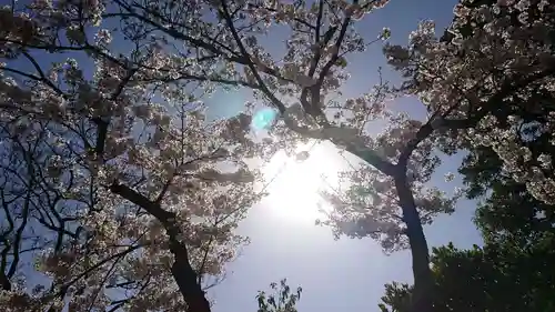 西新井大師総持寺の自然