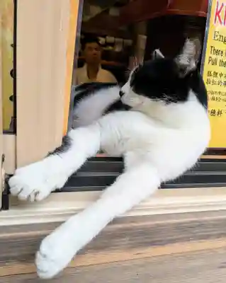 荒木神社(京都府)