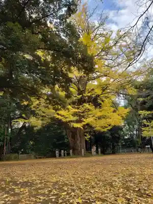 赤坂氷川神社(東京都)