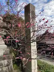 塩竃神社(愛知県)