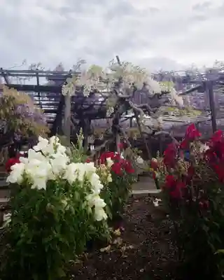 秋葉神社の自然
