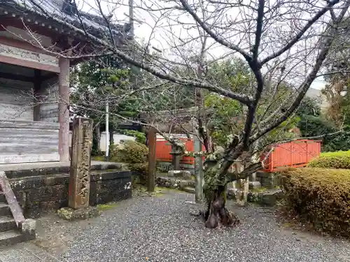 穴太寺(京都府)