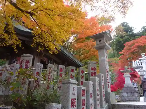 大山阿夫利神社の自然