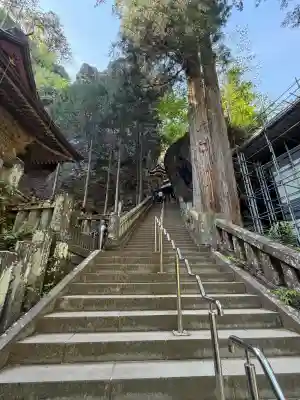 榛名神社の{uncategorized: "未分類", other: "その他", undefined: "問題あり", building: "その他建物", grave: "お墓", sacred_gate: "鳥居", guardian: "狛犬", statue: "像", buddha: "仏像", history: "歴史", nature: "自然", garden: "庭園", animal: "動物", pagoda: "塔", temizu: "手水舎", mountain_gate: "山門・神門", sanctuary: "本殿・本堂", subordinate: "末社・摂社", art: "芸術", scenery: "景色", jizo: "地蔵", ema: "絵馬", goshuin: "御朱印", omikuji: "おみくじ", items: "授与品その他", amulet: "お守り", goshuincho: "御朱印帳", eats: "食事", festival: "お祭り", votive_dance: "神楽", shichigosan: "七五三参", wedding: "結婚式", experience: "体験その他", initially: "初詣", around: "周辺", anti_infection: "感染症対策"}