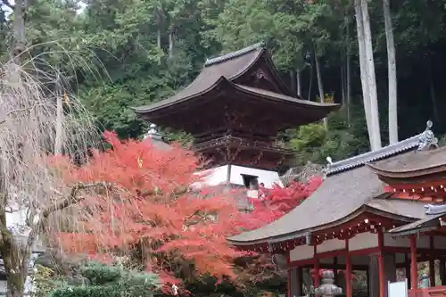 長命寺の建物その他