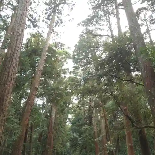 鹿島神宮の自然
