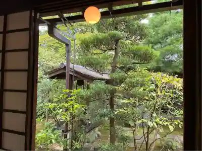 退蔵院(京都府)