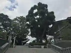 日枝神社の建物その他