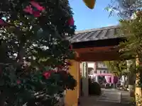 圓定寺の山門・神門