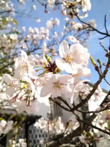 阿智神社の自然