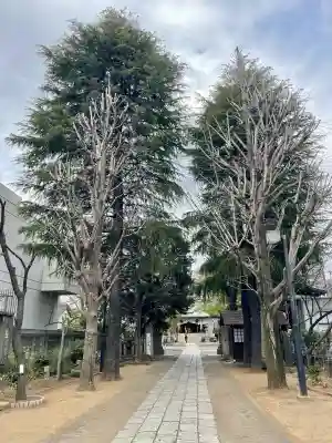 亀戸 香取神社の{uncategorized: "未分類", other: "その他", undefined: "問題あり", building: "その他建物", grave: "お墓", sacred_gate: "鳥居", guardian: "狛犬", statue: "像", buddha: "仏像", history: "歴史", nature: "自然", garden: "庭園", animal: "動物", pagoda: "塔", temizu: "手水舎", mountain_gate: "山門・神門", sanctuary: "本殿・本堂", subordinate: "末社・摂社", art: "芸術", scenery: "景色", jizo: "地蔵", ema: "絵馬", goshuin: "御朱印", omikuji: "おみくじ", items: "授与品その他", amulet: "お守り", goshuincho: "御朱印帳", eats: "食事", festival: "お祭り", votive_dance: "神楽", shichigosan: "七五三参", wedding: "結婚式", experience: "体験その他", initially: "初詣", around: "周辺", anti_infection: "感染症対策"}