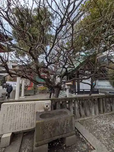 神田神社（神田明神）の自然