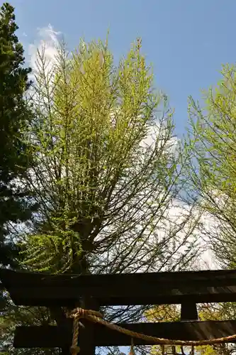 諏訪大社上社前宮(長野県)