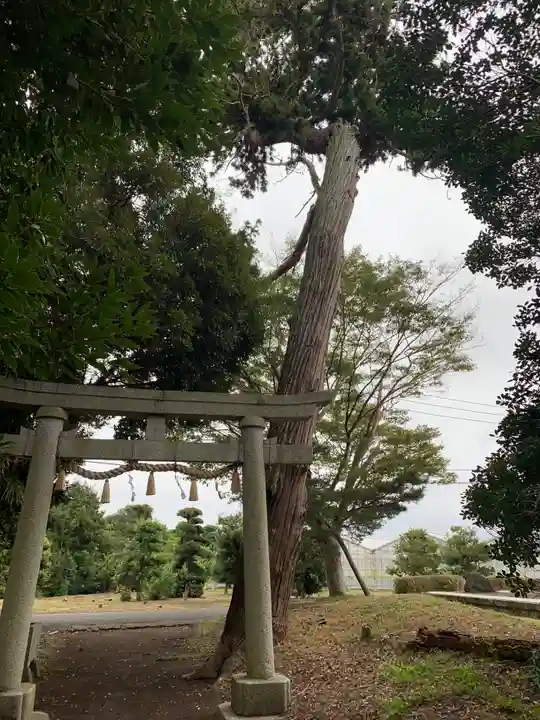 稲生神社(千葉県)