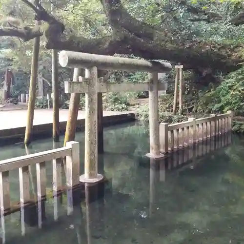 鹿島神宮の鳥居