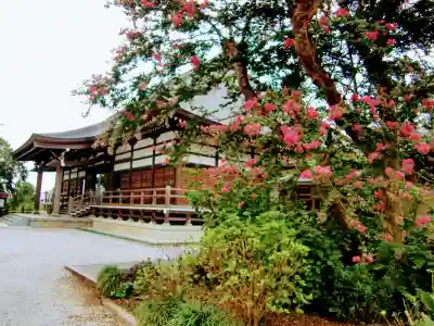 能護寺の本殿・本堂