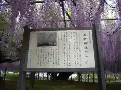 玉敷神社(埼玉県)