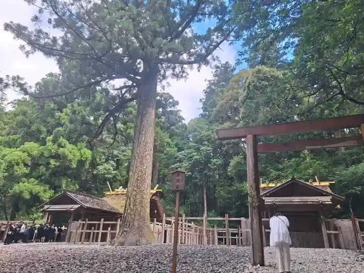 瀧原宮(皇大神宮別宮)の{uncategorized: "未分類", other: "その他", undefined: "問題あり", building: "その他建物", grave: "お墓", sacred_gate: "鳥居", guardian: "狛犬", statue: "像", buddha: "仏像", history: "歴史", nature: "自然", garden: "庭園", animal: "動物", pagoda: "塔", temizu: "手水舎", mountain_gate: "山門・神門", sanctuary: "本殿・本堂", subordinate: "末社・摂社", art: "芸術", scenery: "景色", jizo: "地蔵", ema: "絵馬", goshuin: "御朱印", omikuji: "おみくじ", items: "授与品その他", amulet: "お守り", goshuincho: "御朱印帳", eats: "食事", festival: "お祭り", votive_dance: "神楽", shichigosan: "七五三参", wedding: "結婚式", experience: "体験その他", initially: "初詣", around: "周辺", anti_infection: "感染症対策"}