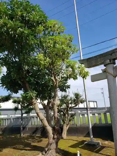 諏訪神社の鳥居