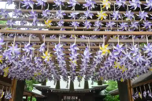 川越氷川神社(埼玉県)