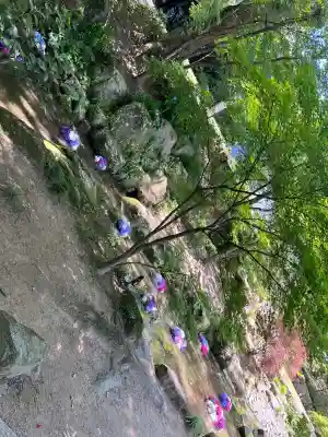 宝満宮竈門神社の{uncategorized: "未分類", other: "その他", undefined: "問題あり", building: "その他建物", grave: "お墓", sacred_gate: "鳥居", guardian: "狛犬", statue: "像", buddha: "仏像", history: "歴史", nature: "自然", garden: "庭園", animal: "動物", pagoda: "塔", temizu: "手水舎", mountain_gate: "山門・神門", sanctuary: "本殿・本堂", subordinate: "末社・摂社", art: "芸術", scenery: "景色", jizo: "地蔵", ema: "絵馬", goshuin: "御朱印", omikuji: "おみくじ", items: "授与品その他", amulet: "お守り", goshuincho: "御朱印帳", eats: "食事", festival: "お祭り", votive_dance: "神楽", shichigosan: "七五三参", wedding: "結婚式", experience: "体験その他", initially: "初詣", around: "周辺", anti_infection: "感染症対策"}