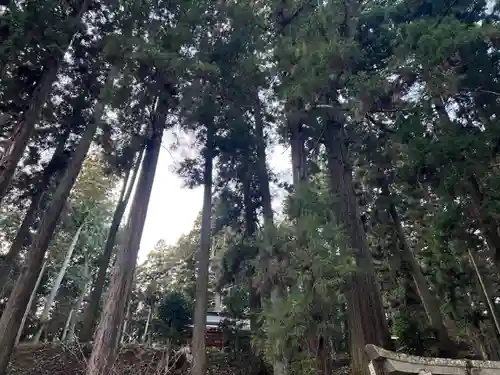 大宮温泉神社(栃木県)