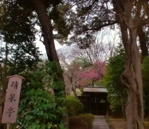 靖國神社(東京都)
