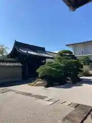 東寺（教王護国寺）(京都府)