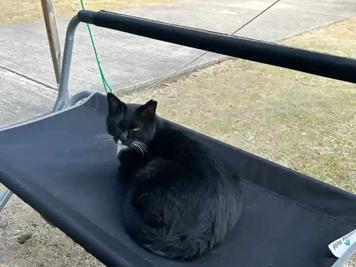 岡部春日神社~👹鬼門よけの🌺花咲く🌺やしろ~の御朱印