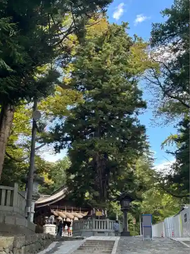 諏訪大社下社秋宮(長野県)