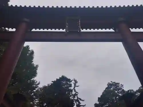 北口本宮冨士浅間神社の鳥居