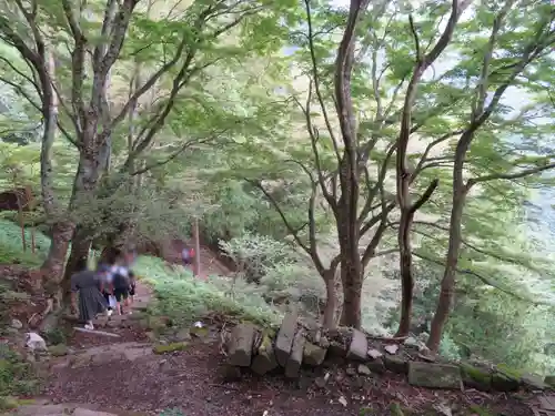 大山阿夫利神社の景色